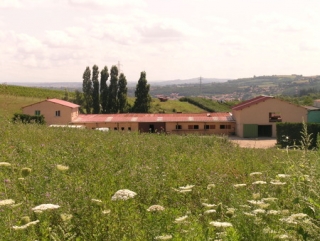  Il centro equestre.JPG 